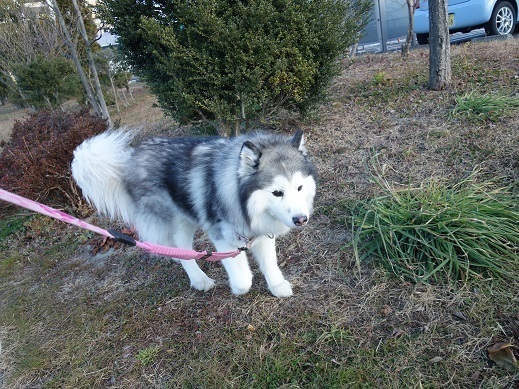 2019-12-28-3.jpg