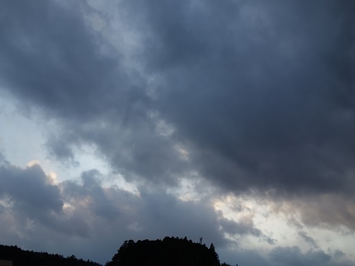 2019-12-31-1.jpg