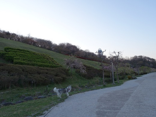 2020-04-27-2.jpg