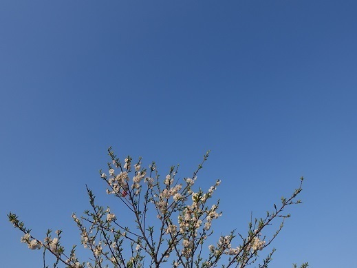 2020-04-29-1.jpg