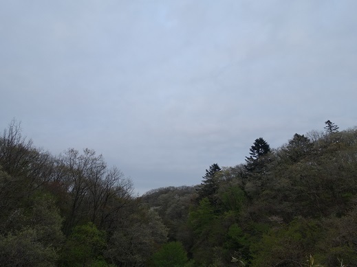 2020-04-30-1.jpg