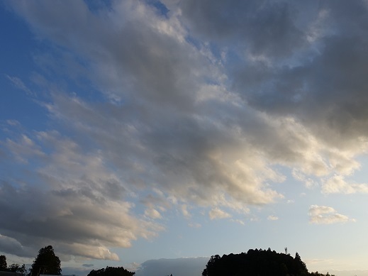 2020-05-27-1.jpg