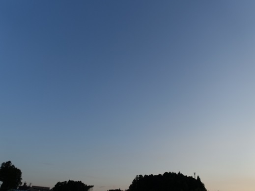 2020-05-28-2.jpg