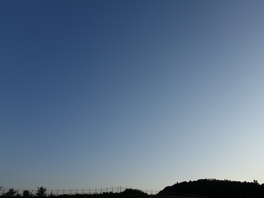2020-05-29-1.jpg