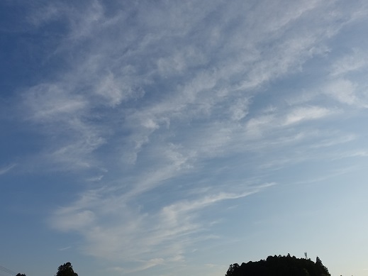 2020-05-31-2.jpg