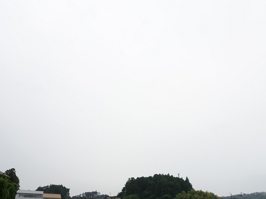 2020-06-28-1.jpg