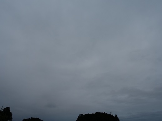 2020-08-31-3.jpg