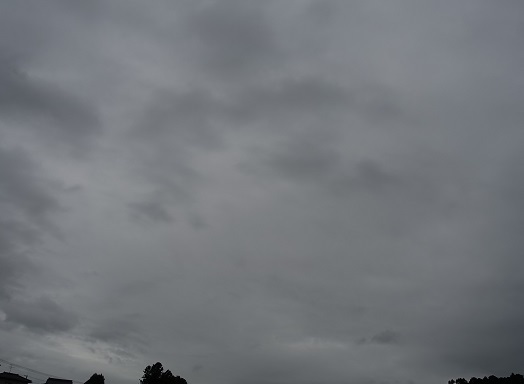 2020-09-26-2.jpg