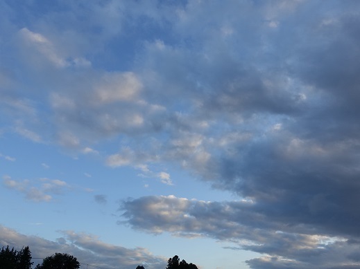 2020-09-27-3.jpg