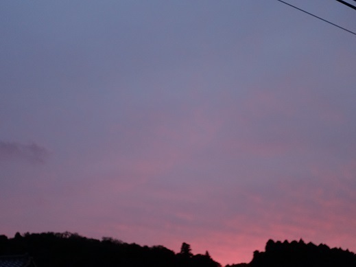 2020-09-29-1.jpg