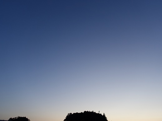 2021-02-27-5.jpg