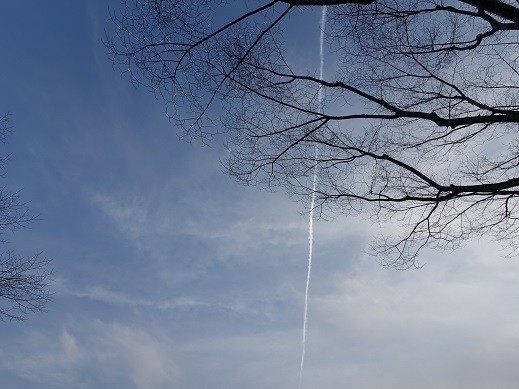 2021-03-27-1.jpg