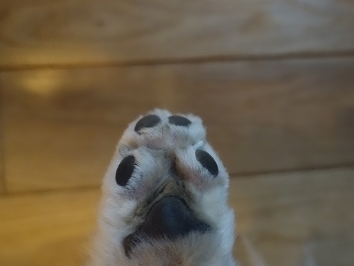 2021-03-28-2.jpg