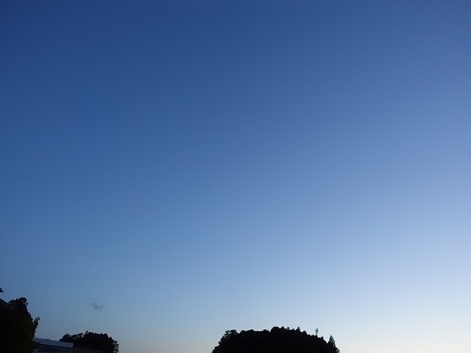 2021-04-26-1.jpg