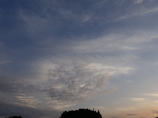 2021-05-28-1.jpg