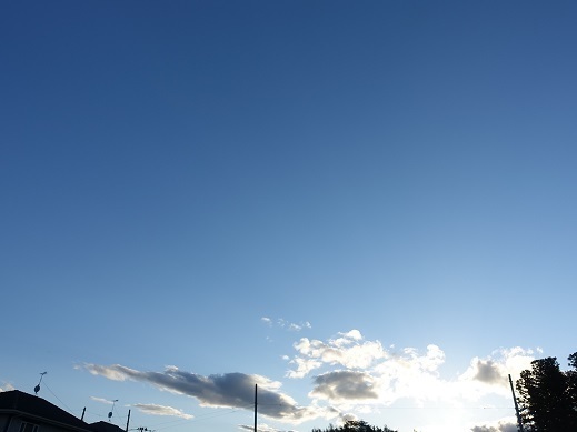 2021-05-30-4.jpg