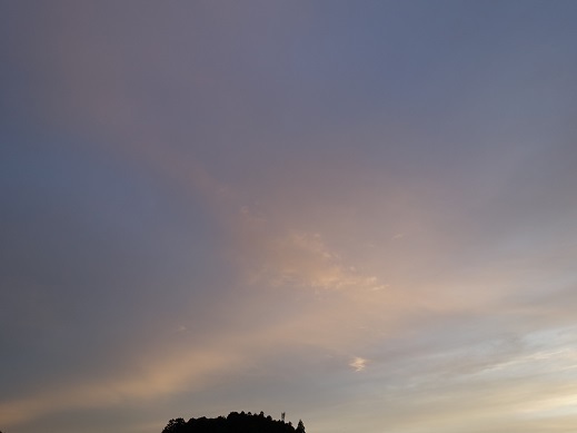 2021-05-31-1.jpg