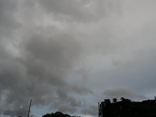2021-06-27-1.jpg