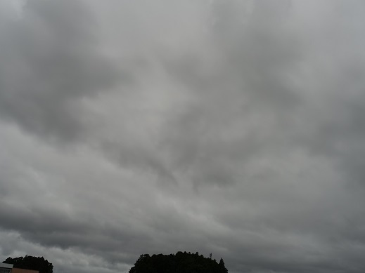 2021-06-28-1.jpg