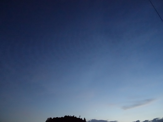 2021-08-27-1.jpg