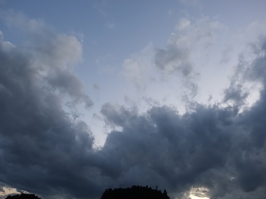 2021-08-28-1.jpg