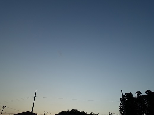 2021-08-29-1.jpg