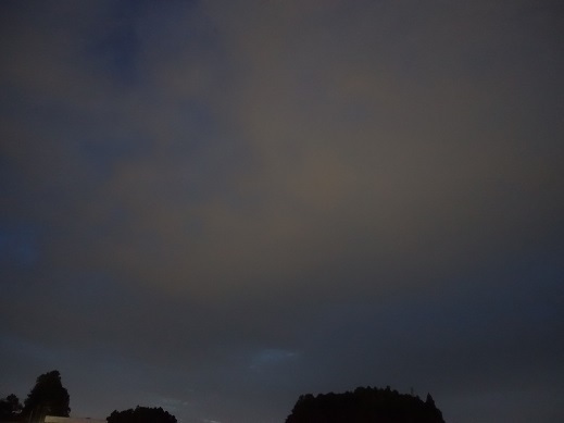 2021-08-31-1.jpg