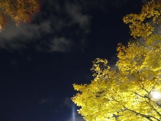 2021-10-28-1.jpg