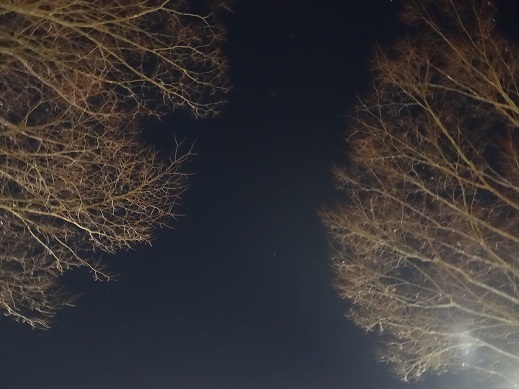 2022-01-28-1.jpg
