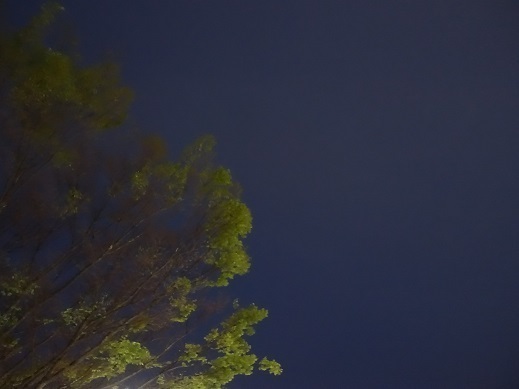 2022-04-27-1.jpg