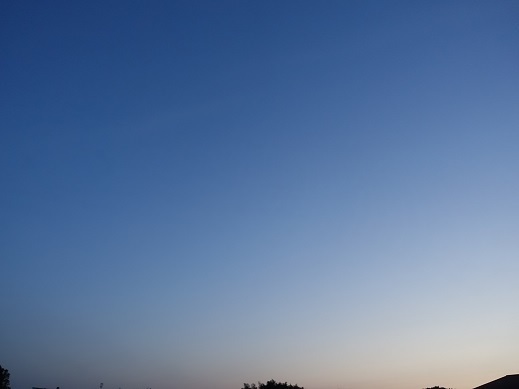 2022-04-28-1.jpg