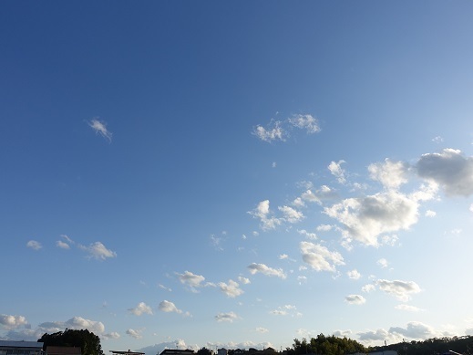 2022-05-28-1.jpg