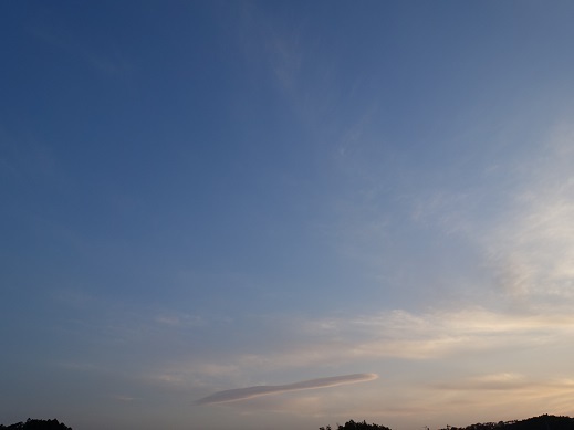 2022-05-29-1.jpg