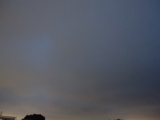 2022-07-28-1.jpg