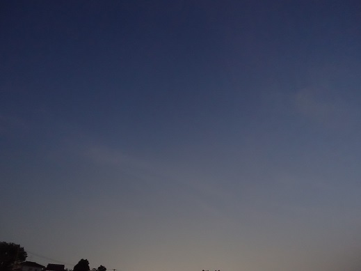 2022-07-29-1.jpg