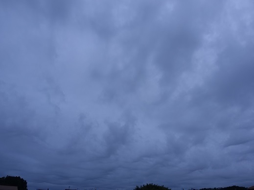 2022-09-03-1.jpg