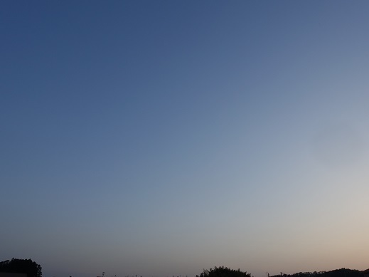2023-04-28-1.jpg