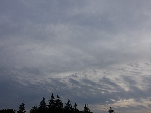 2023-05-05-1.jpg