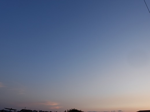 2023-05-11-1.jpg