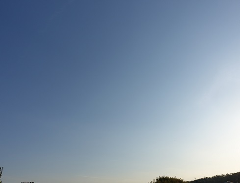 2023-05-12-1.jpg