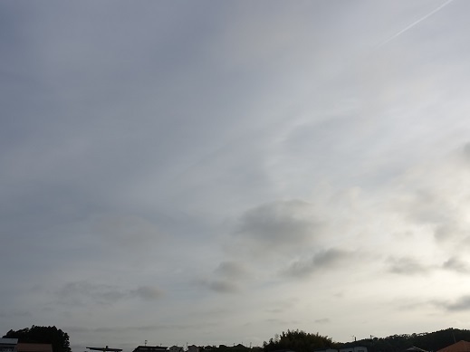 2023-05-21-1.jpg