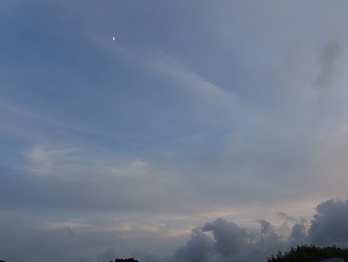 2023-06-27-2.jpg