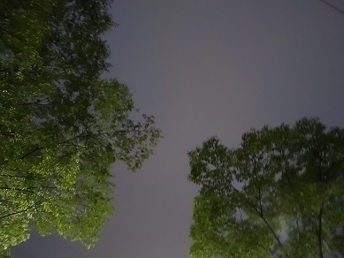 2023-07-20-1.jpg