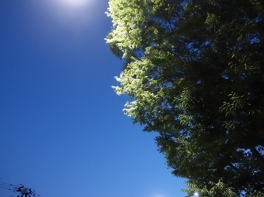 2023-07-28-1.jpg