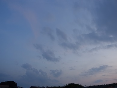 2023-07-30-1.jpg