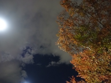 2023-10-26-1.jpg