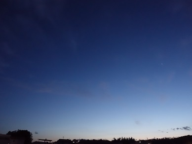 2024-03-29-1.jpg
