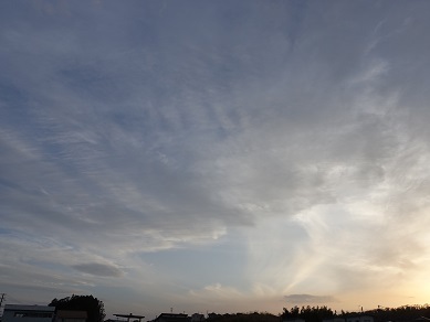2024-03-31-1.jpg