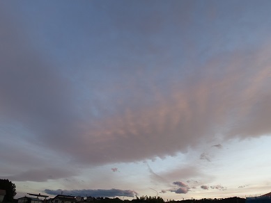 2024-06-26-2.jpg