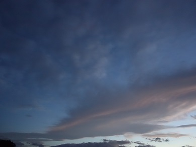 2024-07-29-1.jpg